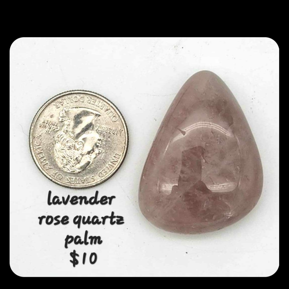 Lavender Quatrz palm